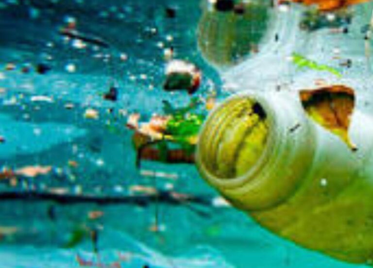 Imagem do WhatsApp de 2025 10 30 as 15.00.43 4bcfc59d